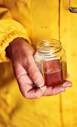 Assaggi in negozio, castagno Assaggi in negozio, castagno