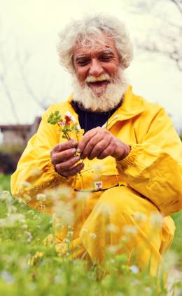 Tante fioriture, tanti mieli diversi Tante fioriture, tanti mieli diversi